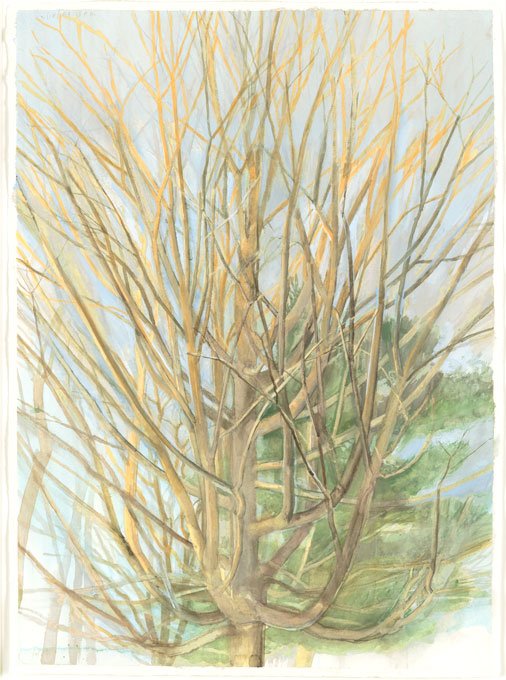 MuseumModernArt's tweet photo. Goodbye, bare trees! The groundhog has declared that spring is on the way. #GroundhogDay https://t.co/hEM4X8UgLi https://t.co/D9TQ7UVJnP