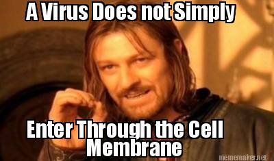 cell_memebrane's tweet photo. Take it from Boromir, kiddos. @BradyHonorsBio #organellewars https://t.co/LvOeXaOR92