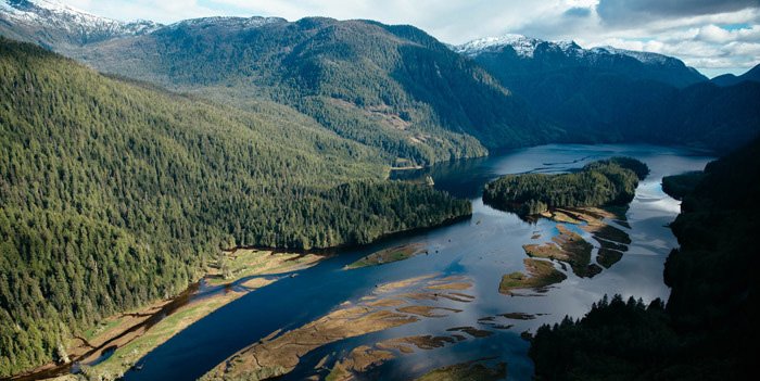 VIAwesome's tweet photo. 10 more stunning photos from the #greatbearrainforest https://t.co/y0dXa2FUBt https://t.co/hjXg0Dd400