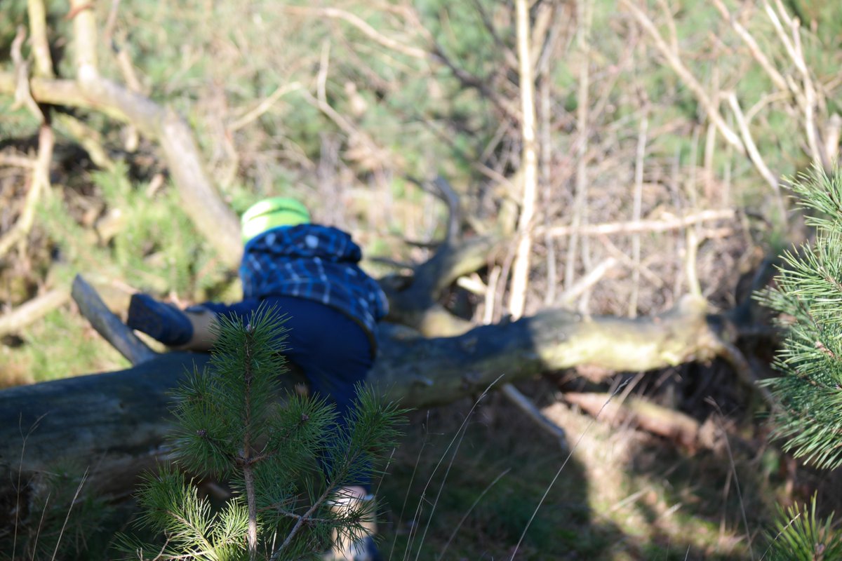 natuurpret.nl/taalontwikkeli…  over, onder, of om de boom? #taalontwikkeling in de #natuur #NME #natuurpret