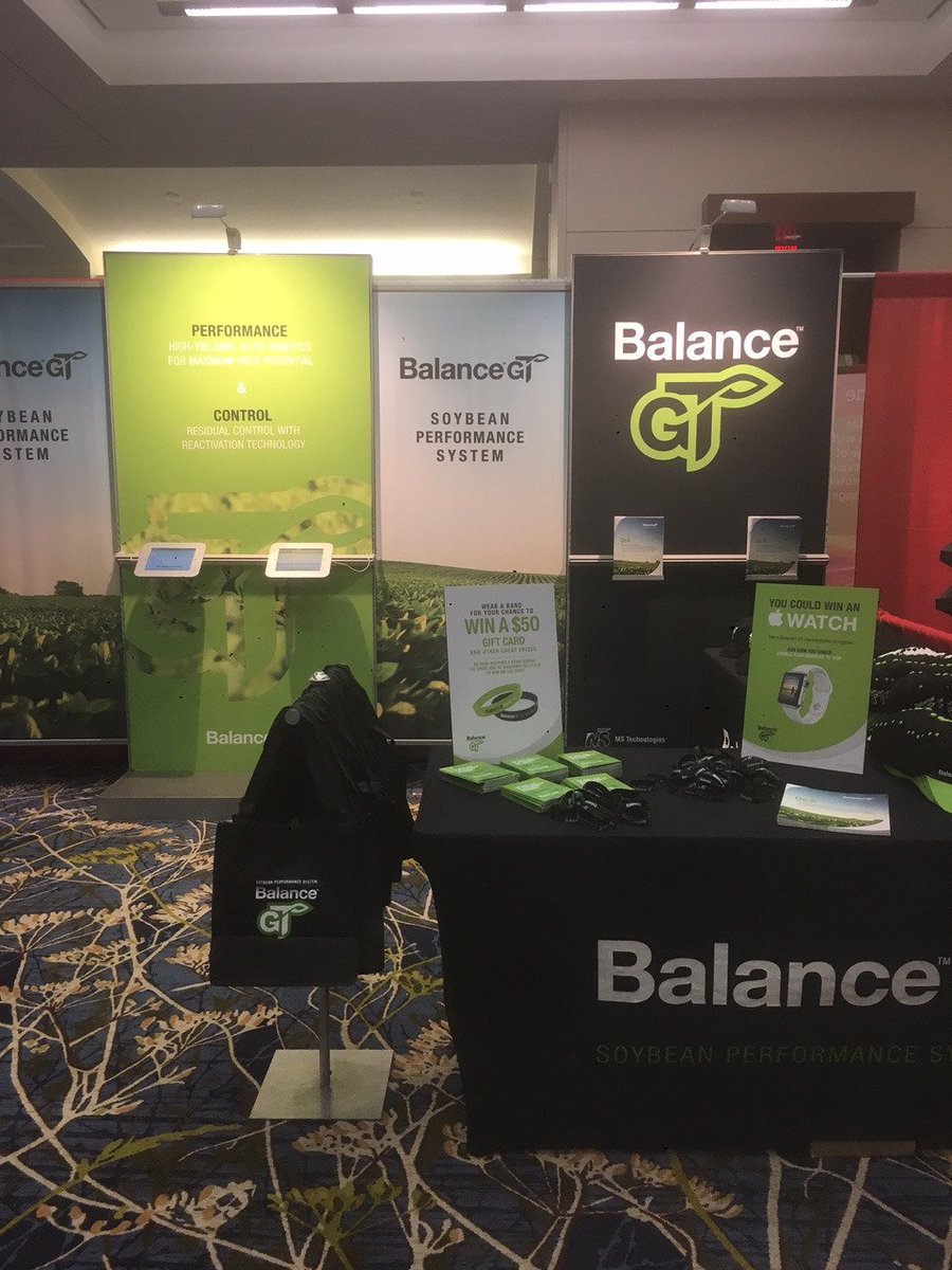 MS Technologies tweet media