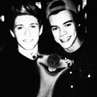 HarryRPGSAME's tweet image. Our son. Always in my heart @niallrpgsame1. Your sincerely Harry. x