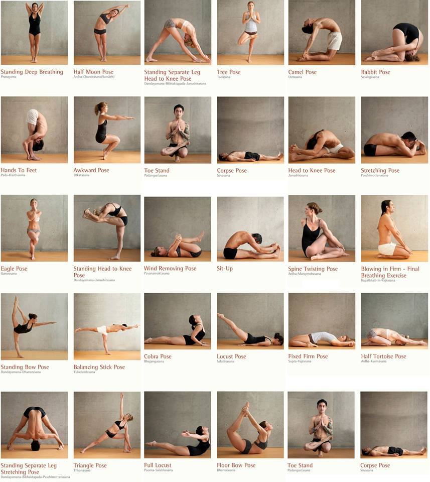 ADevotedYogi's tweet photo. a great collection of #yoga poses....

#yogi #yogini https://t.co/tE5gVemvjB