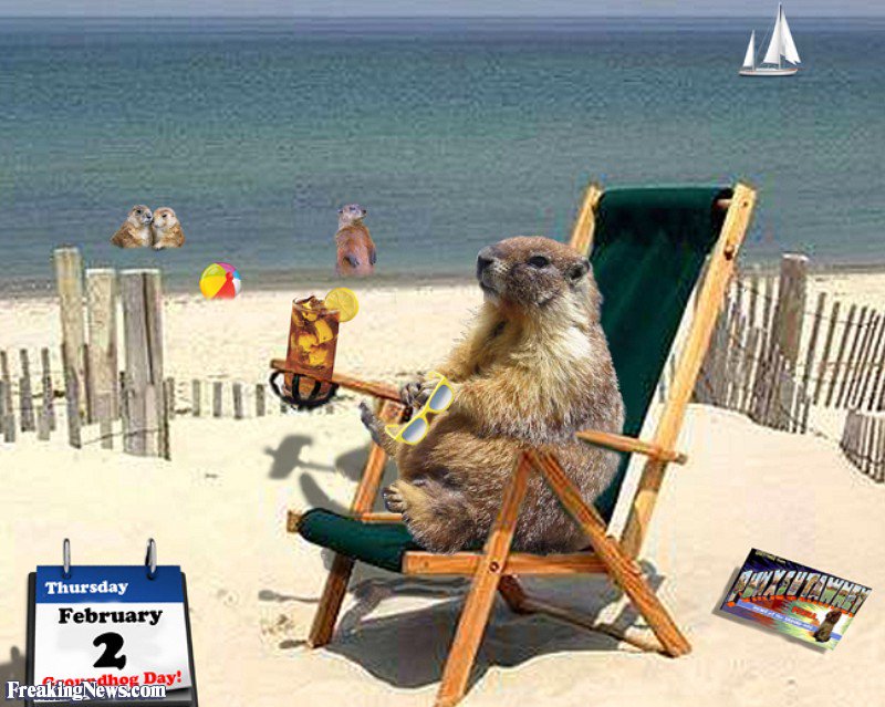 2ChillBros's tweet photo. Punxsutawney Phil is one #chill groundhog. Early Spring means more time to take in some cosmic waves #GroundhogDay https://t.co/o1Ezx39gAq