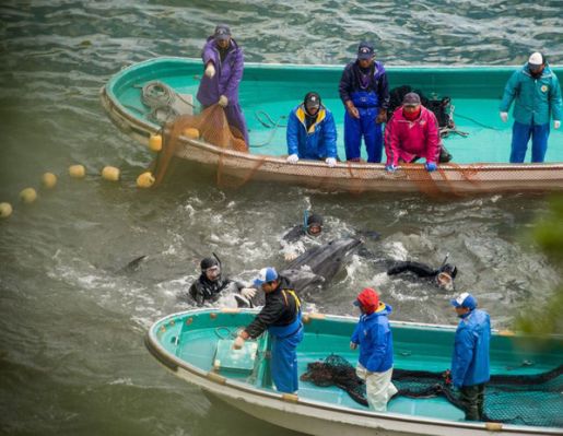 CensoredCrabz's tweet photo. Hell doesn't want them
Hell doesn't need them
Hell doesn't love them
The Devil's Rejects
#RodZombie #OpKillingBay https://t.co/pXJmNdxtg1