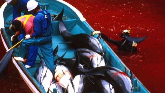 CensoredCrabz's tweet photo. Hell doesn't want them
Hell doesn't need them
Hell doesn't love them
The Devil's Rejects
#RodZombie #OpKillingBay https://t.co/pXJmNdxtg1