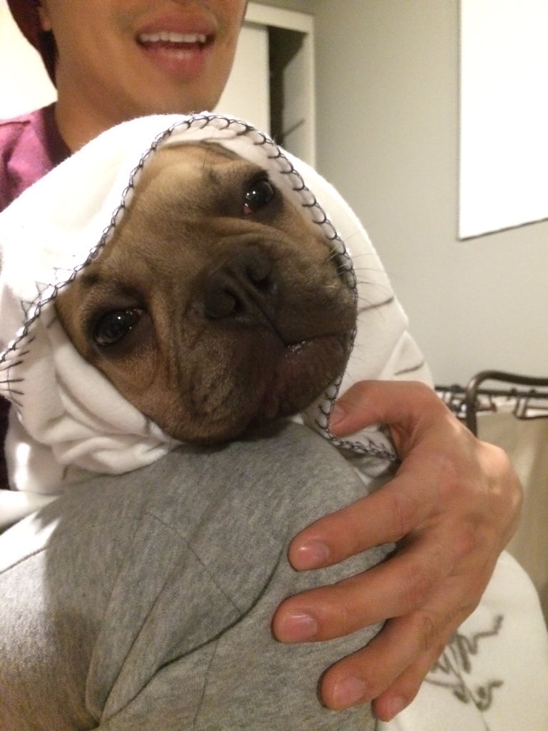 frenchdumpling's tweet photo. Hey E.T., is your ship big enough for the two of us? #ETphonehome 📞👽 https://t.co/ExJYq4fhrK