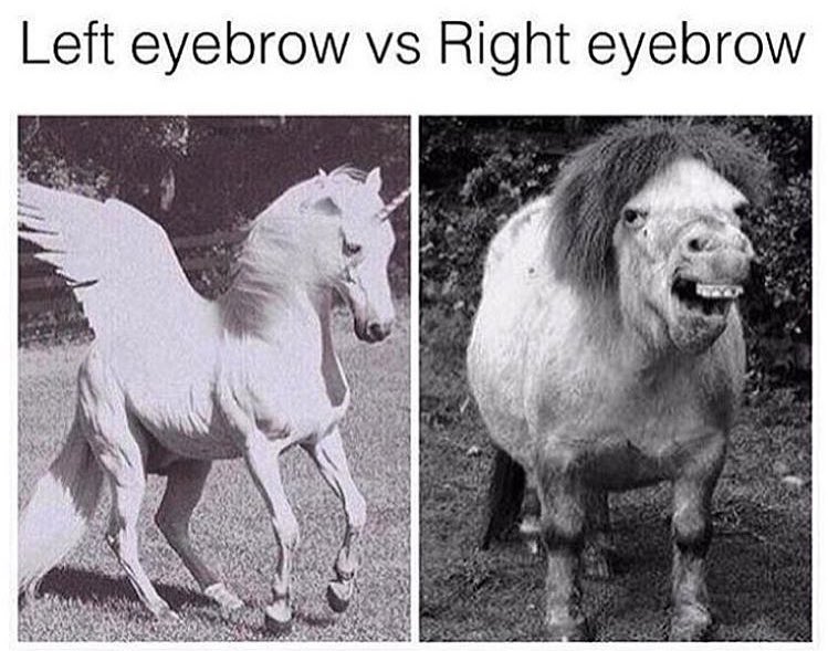 loubarbss's tweet photo. So so very true https://t.co/RVG9WmlSPs