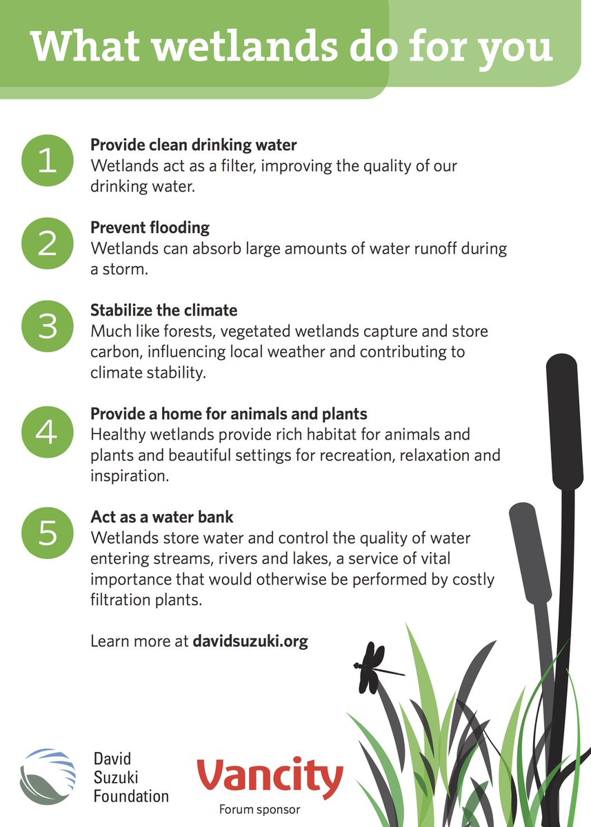 DavidSuzukiFDN's tweet photo. Happy #WorldWetlandsDay! https://t.co/saTiZRi3nJ