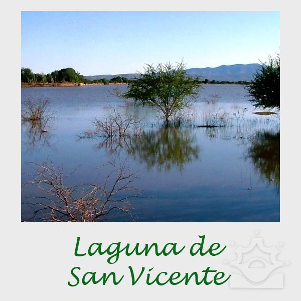 MariaDoloresSLP's tweet photo. A 30 minutos del Hotel se encuentra la Laguna de San Vicente #SLP #TurismoSLP https://t.co/acNejYwaop