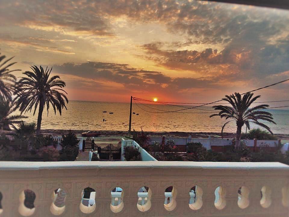PostBad216's tweet photo. Zarziz - Tunisia 🇹🇳 https://t.co/NVzwDzye1v