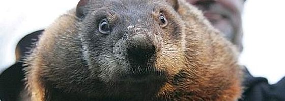 Terrence_CFP's tweet photo. "Avoid “Groundhog Day” Financial Mistakes" by @Terrence_CFP 
#wealth #money #retirement
https://t.co/nc5KCX2eSl https://t.co/2eq4IstlYj