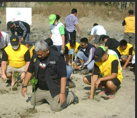 Pak <a href="/jokowi/">Joko Widodo</a> <a href="/SitiNurbayaLHK/">Siti Nurbaya Bakar</a> beginilah Upaya Pelestarian #HutanMangrove di Kawasan #TelukBenoa #SaveMangrove