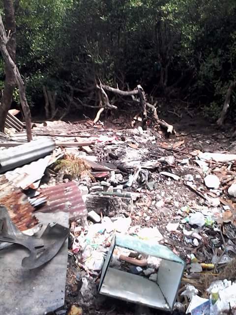 Pak <a href="/jokowi/">Joko Widodo</a> <a href="/SitiNurbayaLHK/">Siti Nurbaya Bakar</a> #TelukBenoa kini telah menjadi tempat pembuangan #Sampah #SaveMangrove #SaveBali