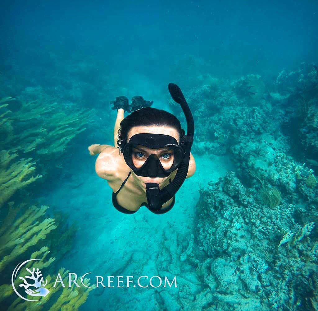 ArcReef's tweet photo. ARC Reef (Atlantic Reef Conservation) Featured Staff Member of the week, "Jacque" #arcreef
https://t.co/BQspAEv93x https://t.co/6EZRjIZ9JD