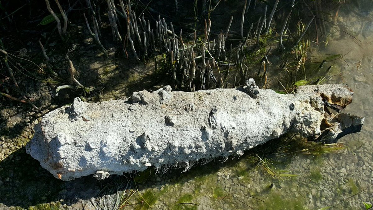 Look what was found in the Fla. Keys this morning. The #Navy showed up and took it away bit.ly/1JWoKDB?utm_me… https://t.co/Et4HZIfBsy