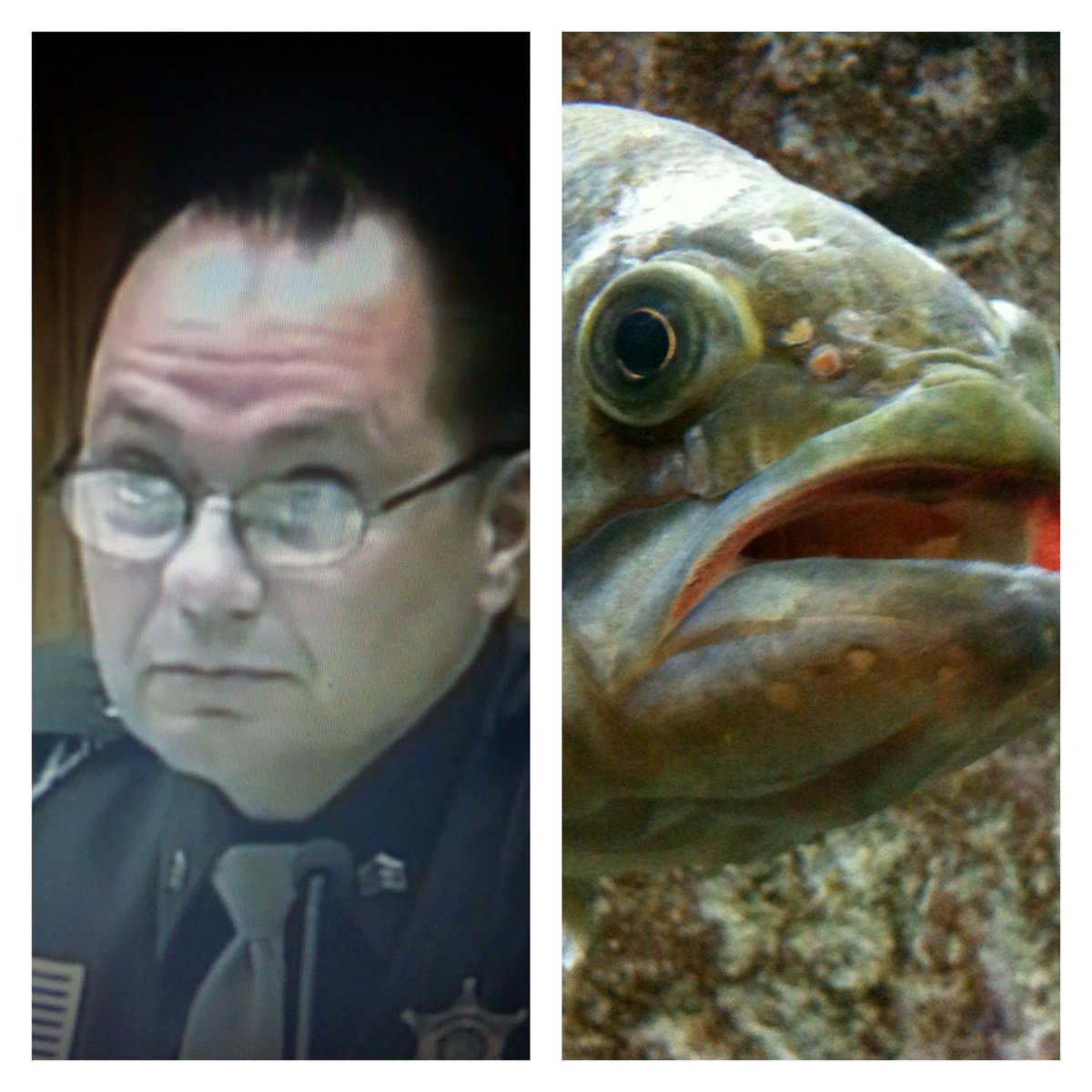 paolazigoni's tweet image. #twins #colborn #dickhead 
#MakingAMurderer