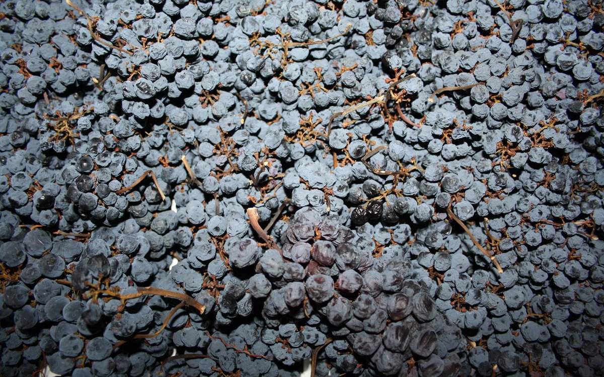 tastevin_blog's tweet photo. #anteprimaamarone 2012 - #Verona #winelovers #ciSiamo anche noi!!
https://t.co/pFr4S62uck https://t.co/JUIbZdD6ZQ