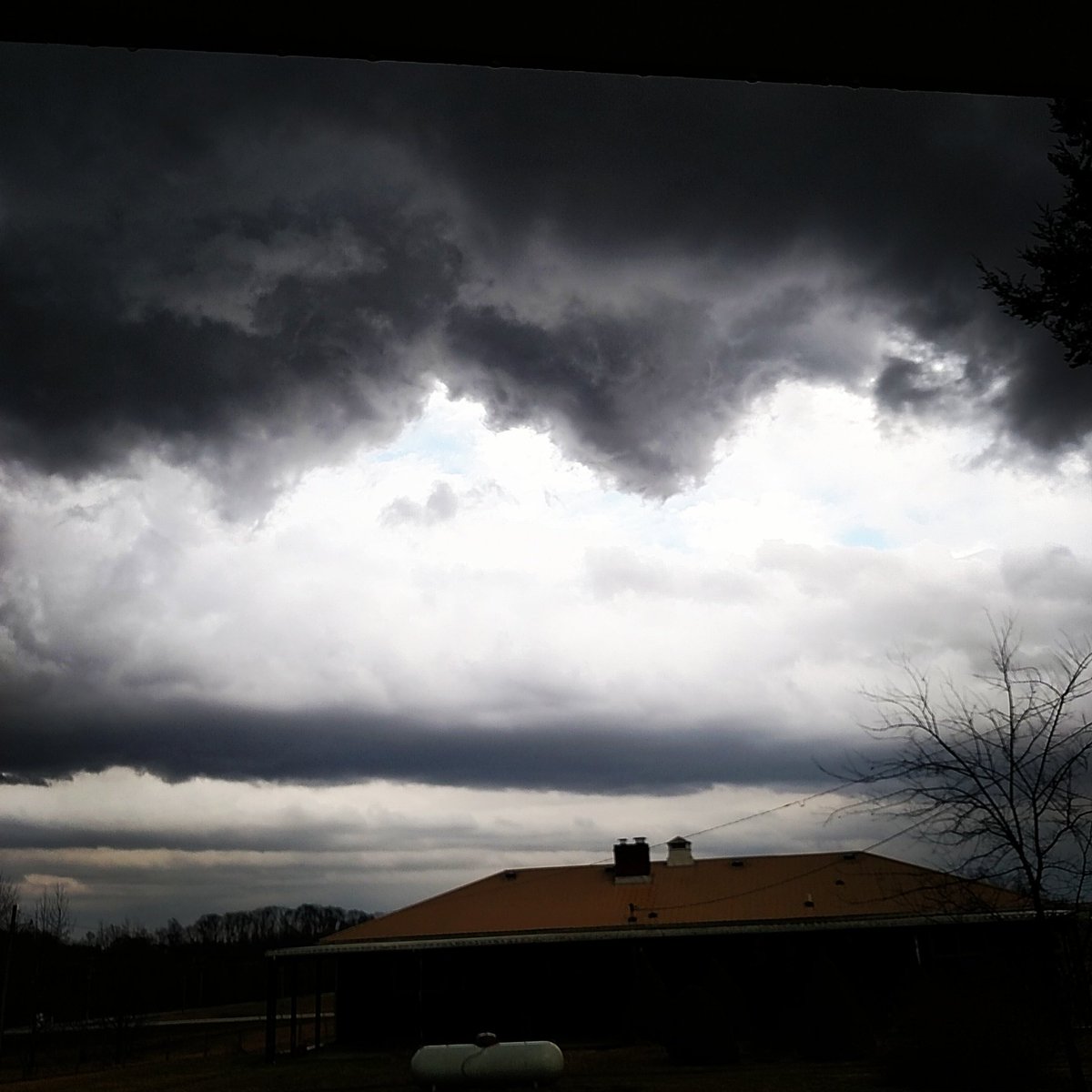 laurafortner3's tweet photo. @WSMV https://t.co/bSQT54aOxM
