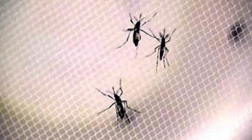 6 new travel-associated #Zika cases reported in Florida bit.ly/1UHvHZK?utm_me… https://t.co/vpcT9owavJ