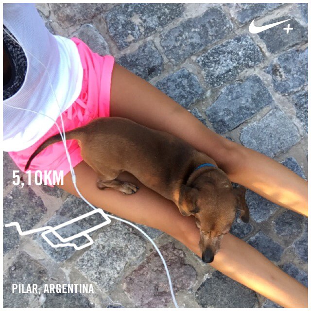 heluayerza's tweet photo. Acabo de correr 5,10 km con Nike+. https://t.co/dacHP7wSJu #nikeplus https://t.co/21GN8lWMJC