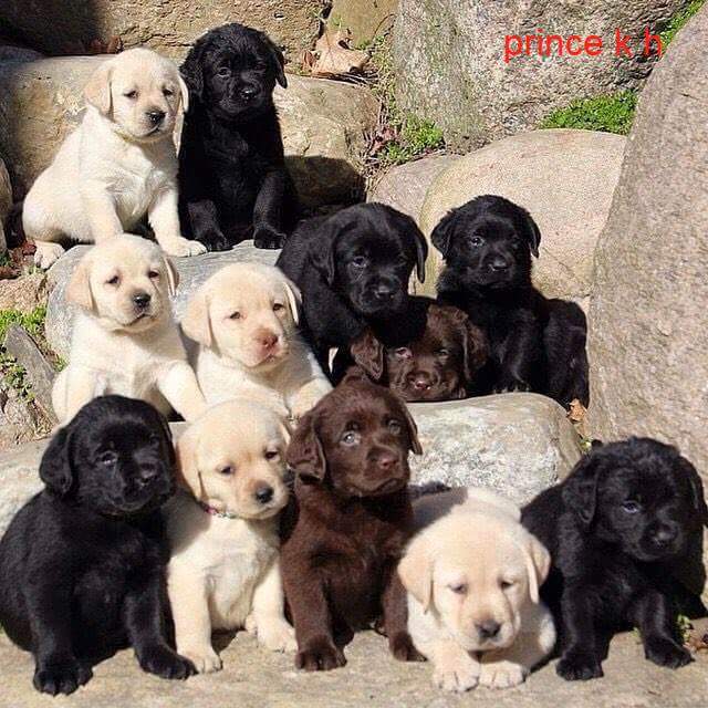 Silviadomi22G's tweet photo. For all friends
Good evening
#AmS
@virgyane @ElieBautista @BesodeLuna_ @Fitness_enlinea @chichovip @flavio22monte https://t.co/qD63Brc5Nz