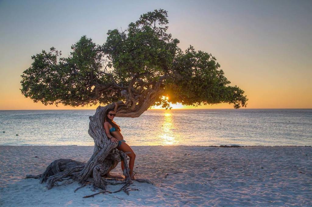 Mikypan81's tweet image. #world_besthdr #hdr_for_all #hdr #hdr_pics #lucky_hdr #aruba #divitree ift.tt/1mbnZLy