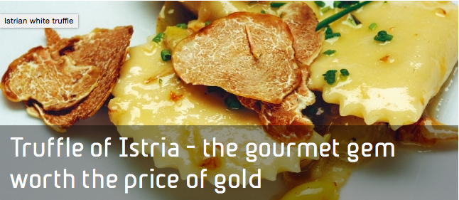 trufflestore's tweet photo. Istrian soil has become the strong rival of italian regions Alba and Piedmont. 
https://t.co/6KvqqNvX66 https://t.co/zFkV7ZeTRJ