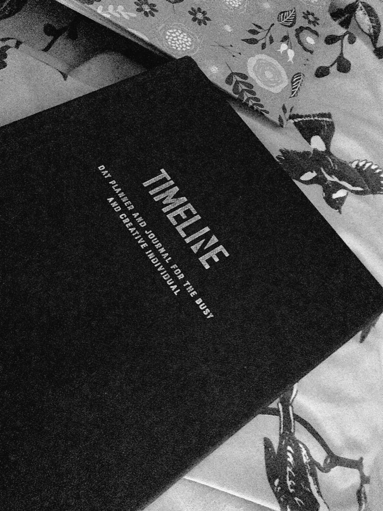 emm4jon3s's tweet image. Writing all our little memories each day. I love that everyday has a journal section   #Timeline2016