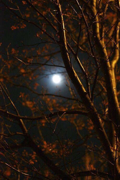 حكم القدر ما فيه ترفض و تختار

كلـن نصيـبه ياخـذه لو  يعـافهّ ..
#جـود