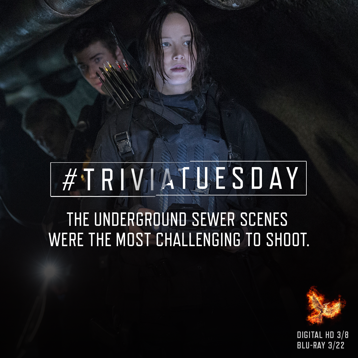 TheHungerGames's tweet image. "It was dark… a lot of water, a lot of fire. Everybody was miserable.” - @Hibbits, #MockingjayPart2