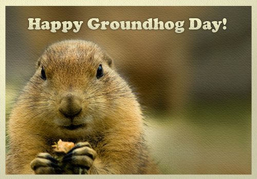AdornoMag's tweet image. Isn’t he cute? : ) Happy Groundhog Day Everyone! 
#Groundhogday #winterorspring #february2nd
