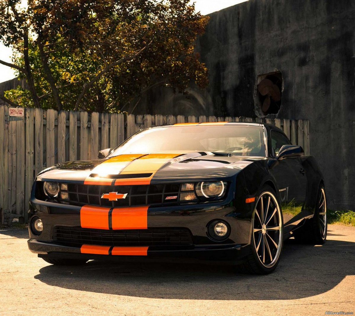 Beautiful Cars tweet media