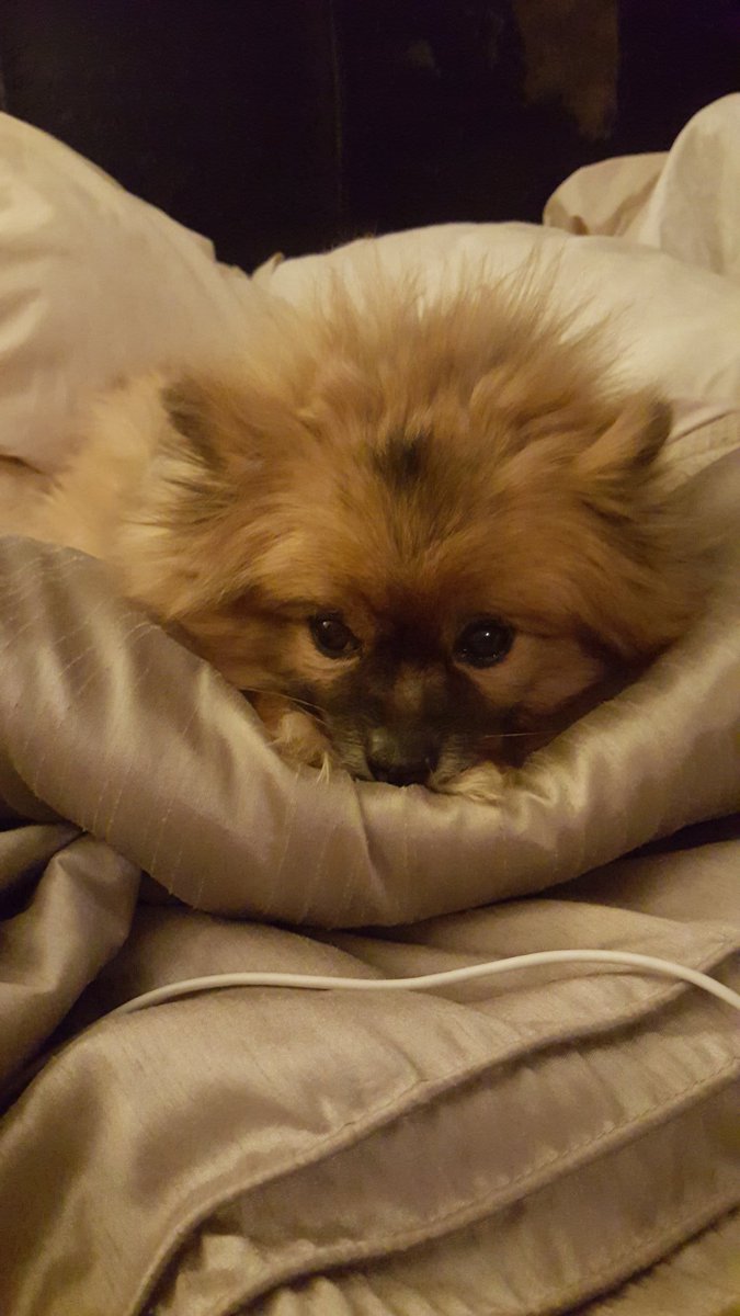 7JenSmith's tweet image. 