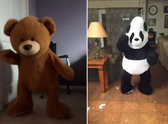 laurenonline's tweet image. People are cutting open teddy bears and wearing them, #becauseits2016: bit.ly/20FPjRH via @PatMorrell_CBC