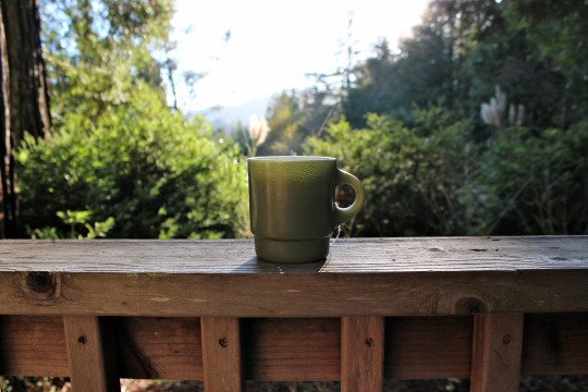 mudsic's tweet image. Gooday