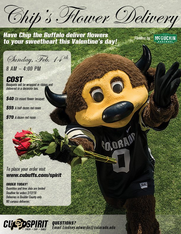 Chipthebuffalo's tweet photo. Show your significant other how much you love them by having the cutest buffalo in Boulder deliver them flowers!!! https://t.co/Ga7xDm5XbL