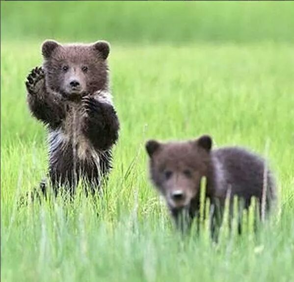 TRKYCMHRYT7_IYI's tweet photo. @DaisyLouTrain Hello honey😘 @ImAnaBar
@eReferenceDesk
@fryld
 @EMREASLAN144 👤
@EMREASLAN616 👥
#FF #RT #BOSS #MAN 👤👥 https://t.co/IRErhNtS4a