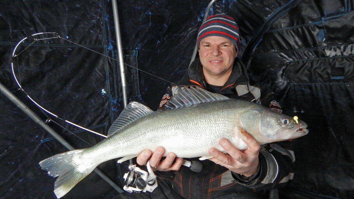 boggyriver's tweet photo. 27" Walleye Lake wpg https://t.co/r3NQi1vUp3