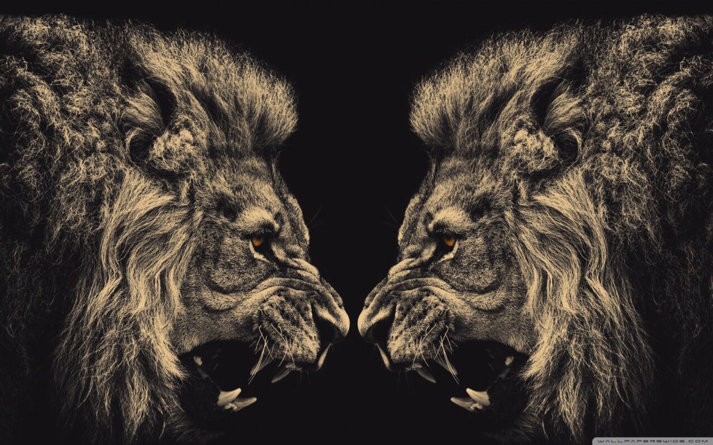 JohnnyVoice's tweet image. New Website! Liontwinfitness.wix.com/liontwin. #gymlife #heath #lifestyle #fitness #fitfam #gymspiration #gym #fitnessfreaks