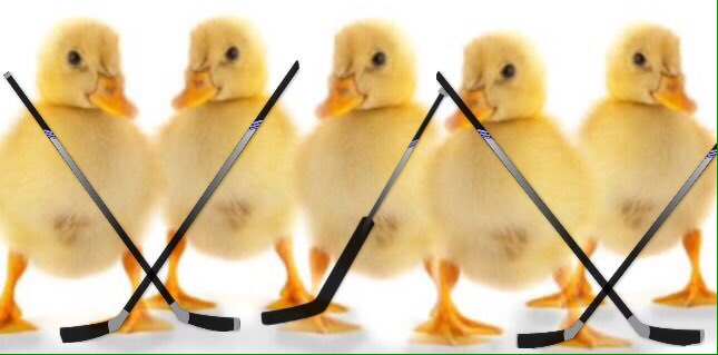 SBGirlsHockey's tweet image. rt/fav this to help fund your #UglyPucklings #GlowUp #SwagWeek