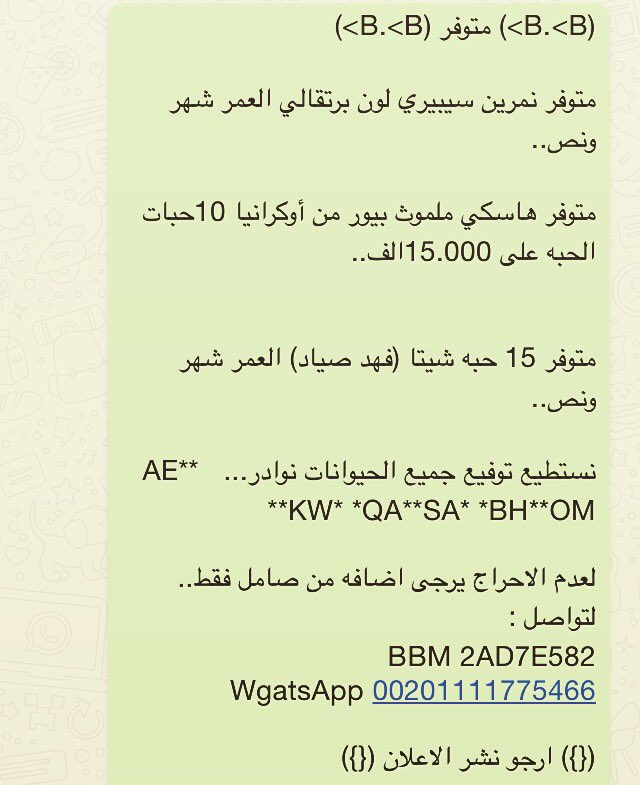 سمارتي شي خيال (@2014amiira) on Twitter photo 