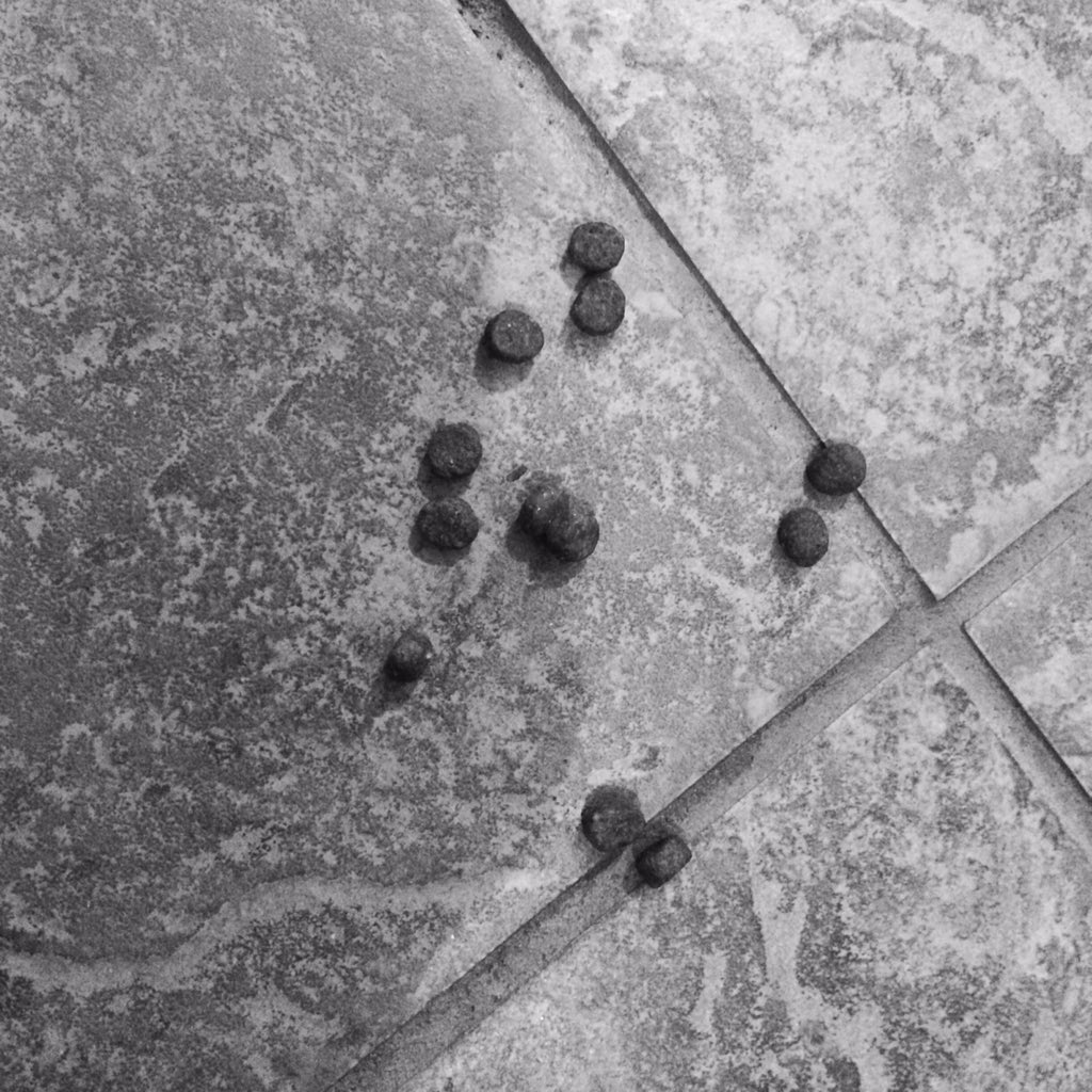 vckbee's tweet photo. Ramsey kibble art #ramseykibbleart #kibbleart https://t.co/zf6F9uL1np