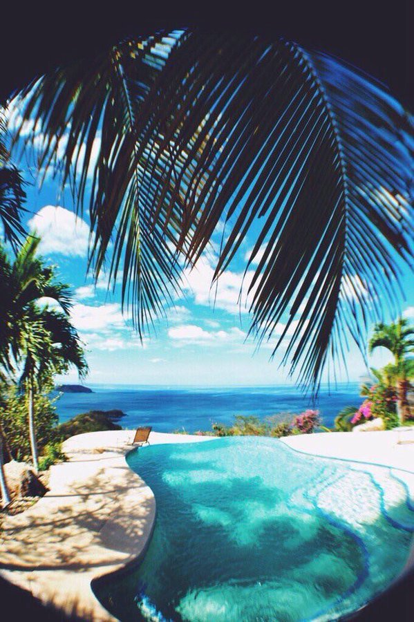 Chill Vibes tweet media