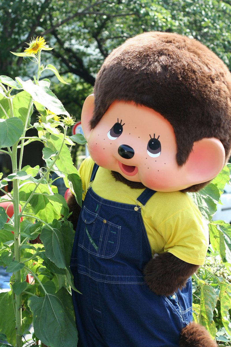 モンチッチ【公式】 on X