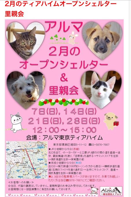 保護犬、猫ちゃん達を家族に迎えませんか？？ https://t.co/TtOKEzPGnY