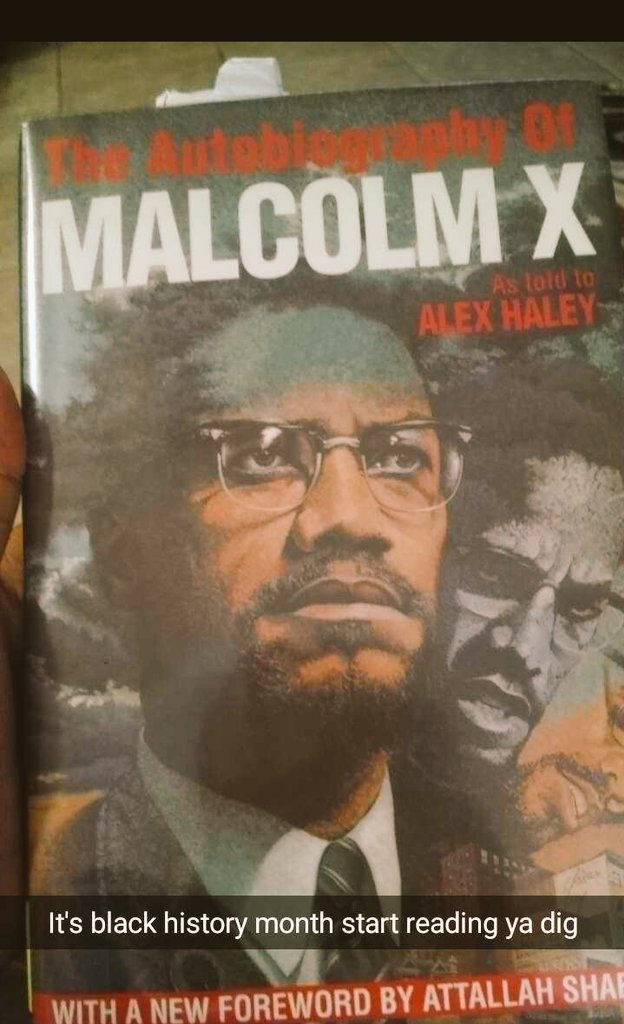 LeadOrStepdown's tweet photo. @Kokaneofficial @DjKingAssassin @LadyKokane @BIGTRAYDEEE @LadyKokane @AfroNaj  #MalcolmX .couple more chapters to go https://t.co/lU27rhVfzm