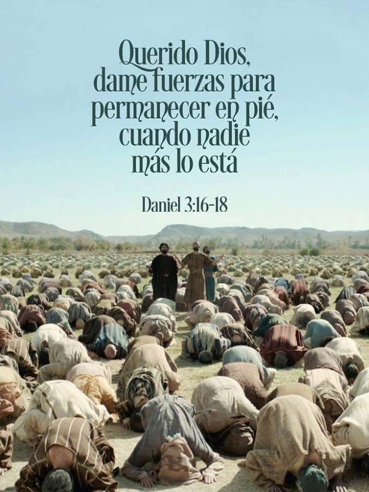 MartyBustos5's tweet photo. con Certeza https://t.co/6ZqvlqijTS