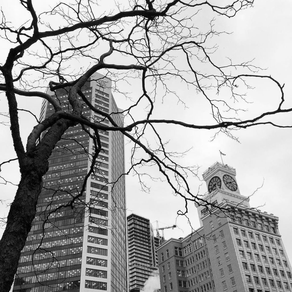 VANCITYsBEST's tweet photo. WOW check out the great photo by @danielduartego https://t.co/n0vCaXqJ1Q #vancity #van4life #vanmagram #vancitybuz… https://t.co/S0aRwQPk1e