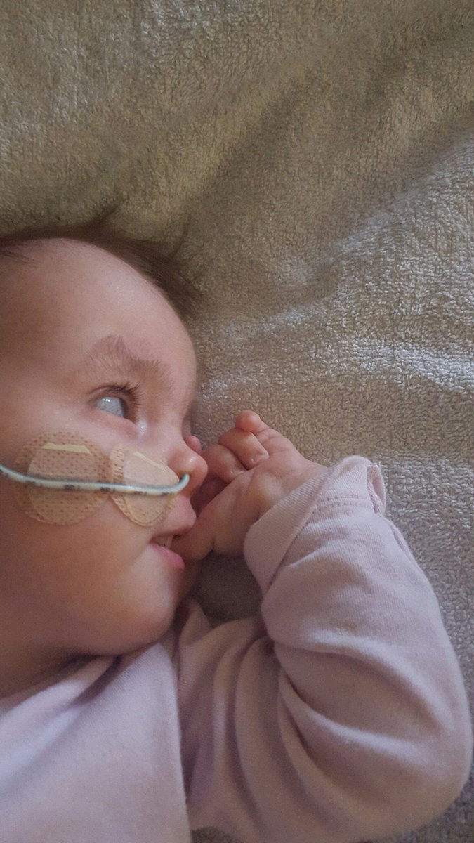 ARFTrisomy18's tweet photo. 💕Good Morning 💕 https://t.co/VZRduLkkU3 https://t.co/iEqofxcQA6